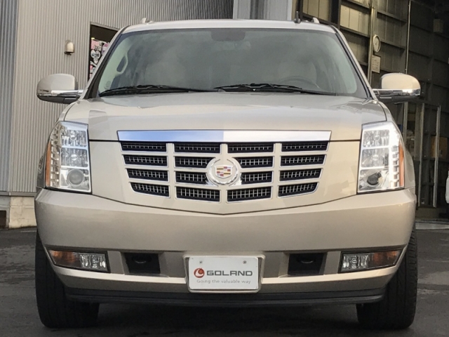 11yｴｽｶESVｼｬﾝﾊﾟﾝ (55) (800x600)